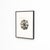 Karl Blossfeldt, Natural Grace, 1942, Photogravure, Framed For Sale - Image 3 of 6
