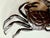 Japanese Bronze Articulated Crab Okimono Meiji by Yasunosuke Ryubundo VI For Sale - Image 11 of 13