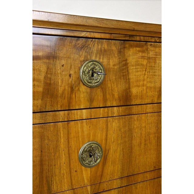 Antique Biedermeier Chest of Drawers, Austria, 1830 For Sale - Image 18 of 18