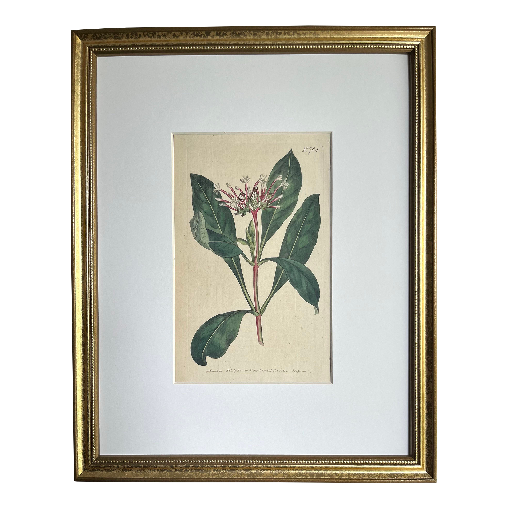 Antiques and Art Collection - For Sale | Chairish