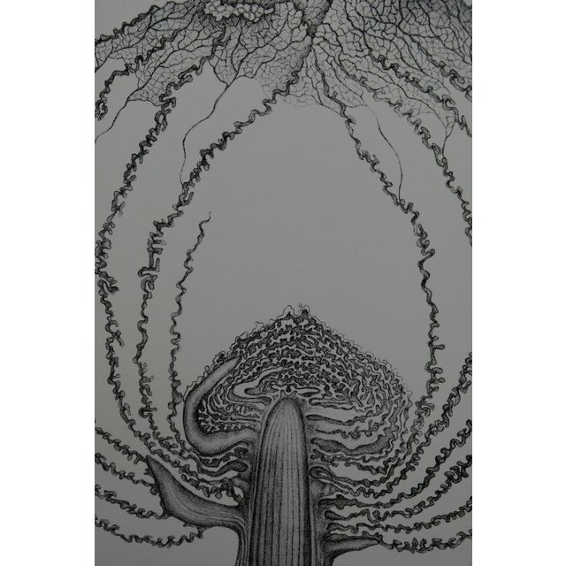 Gochka Charewicz The Cabbage Original lithograph Signed in pencil Limited edition of 29 copies (the number shown is an...