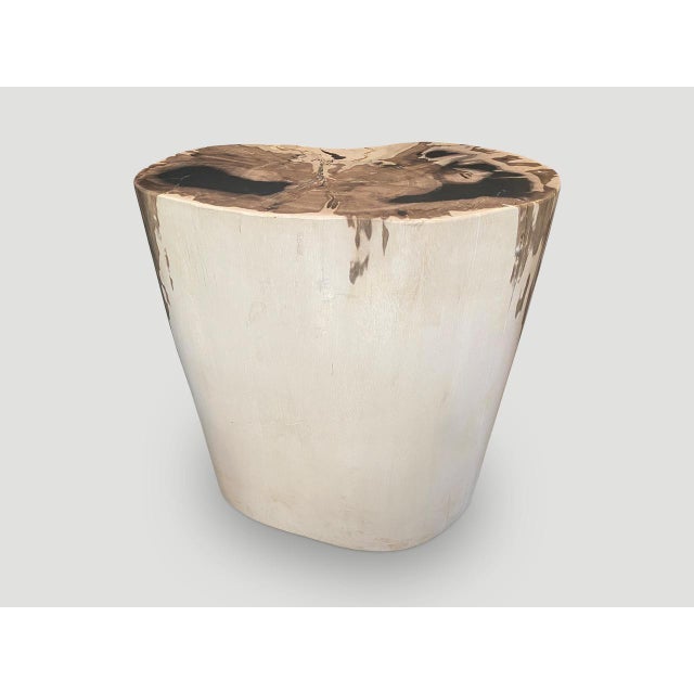 Andrianna Shamaris High Quality Exquisite Petrified Wood Side Table For Sale - Image 13 of 18