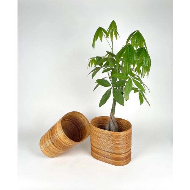 Wood Mid-Century Oval Rattan and Bamboo Basket Plant Holders or Vases, Italy, 1960s, Set of 2 For Sale - Image 7 of 14