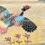 1960s Vintage Rustic Farmhouse Boho Chic Large Cerused Oak Pheasant Tray, Small, Thanksgiving For Sale - Image 4 of 10