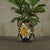 Mid 20th Century Mexican Glazed Ceramic Planter For Sale - Image 9 of 17