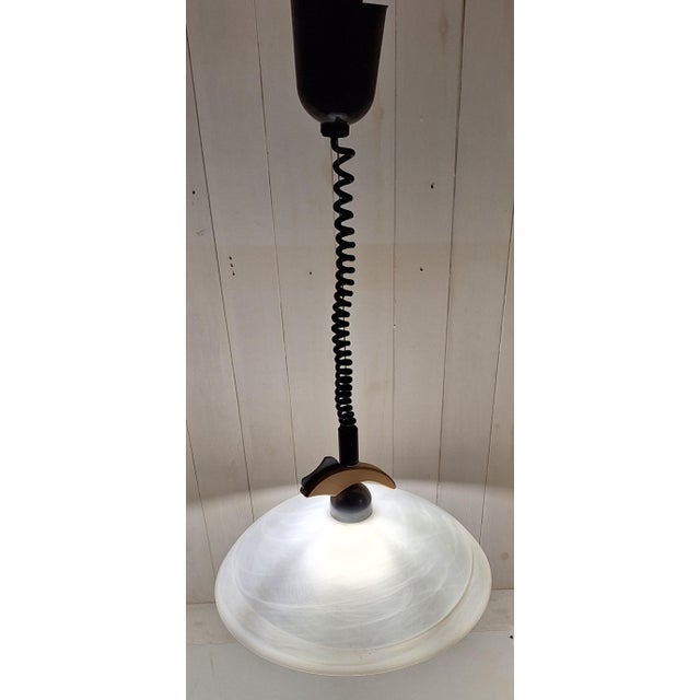1990s Vintage Height-Adjustable Pendant Lamp from Fischer-Leuchten, 1990s For Sale - Image 5 of 8