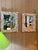 Custom Coastal Organic Sculptural Pink Seashell Wall Mirror For Sale - Image 12 of 12