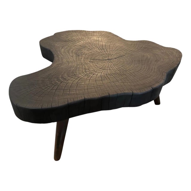 Andrianna Shamaris Amorphous Charred Coffee Table For Sale