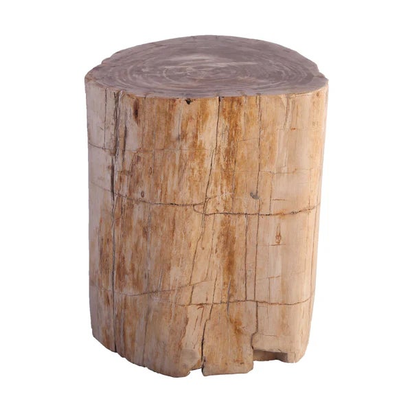 2020s Petrified Wood Stool Accent Table 214 For Sale - Image 5 of 6