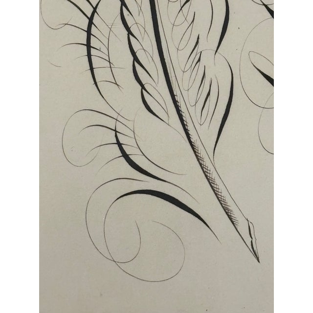 American 19th Century American Spencerian Calligraphy Penmanship Feather Flourish, Framed For Sale - Image 3 of 10