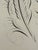 American 19th Century American Spencerian Calligraphy Penmanship Feather Flourish, Framed For Sale - Image 3 of 10