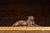 Bronze-clad resin sculpture depicting a reclining tiger posed at rest atop a textured naturalistic base. The figure is...