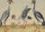 "Three Herons" - Hand Watercolor Engraving "Three Herons" from a collection of the Most Rare Birds Drawn and Engraved From...