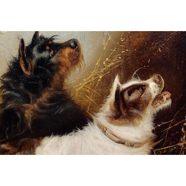 George Armfield - a Pair of Terriers - 19th century Oil Painting English Realist - Oil painting on canvas - signed - circa...