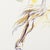 Contemporary Emília Nadal, Nude on Horseback, 1987, Screenprint For Sale - Image 3 of 6