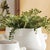 Realism Maidenhair Drop-In 18" For Sale - Image 3 of 4