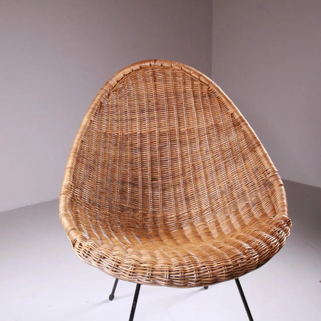 Set of Armchairs in Rattan, in Good conditions. Designed 1950 to 1959