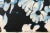 Artist: Jacques Monory Country: France Title: Supposer Medium: Original Lithograph signed in pencil Paper: Rives vellum...