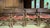 1970's McGuire Leather Wrapped Bamboo, Cane & Dining - Set of 5 For Sale - Image 13 of 18