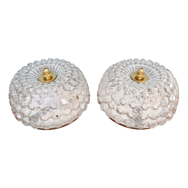 Ceiling Lights in Clear Honeycomb Glass by Helena Tynell for Glashütte Limburg, 1970s, Set of 2 For Sale