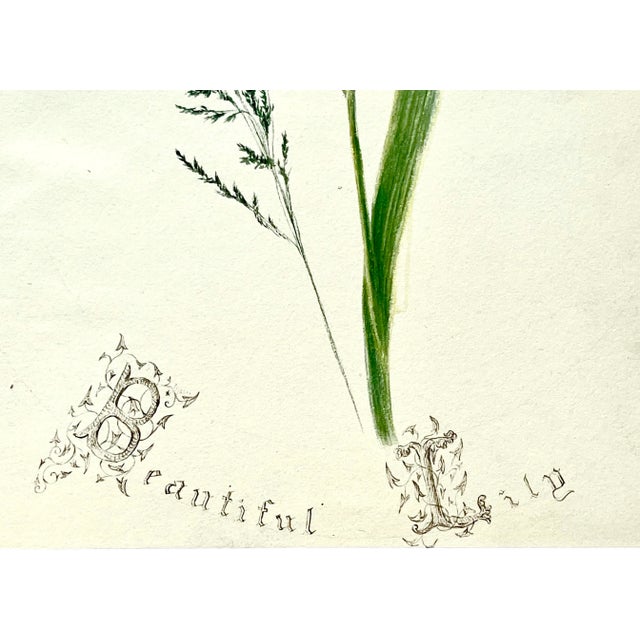Late 19th Century Antique Original Floral Watercolor Botanical Painting Titled "Beautiful Lilly" in Calligraphy 19th /Century For Sale - Image 5 of 6