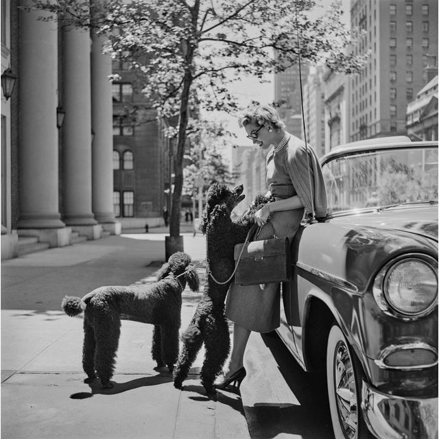 Slim Aarons, Inga Lindgren and Poodles, Estate Stamped Digital Print For Sale - Image 3 of 3