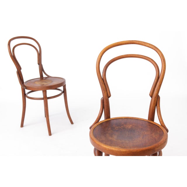 Antique Austrian Beech Bentwood Dining Chairs, 1930s, Set of 2 For Sale - Image 6 of 12