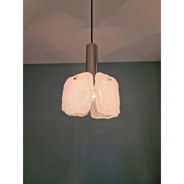 Frosted Glass Pendant Light by J. T. Kalmar for Kalmar Franken KG, 1970 For Sale - Image 14 of 16