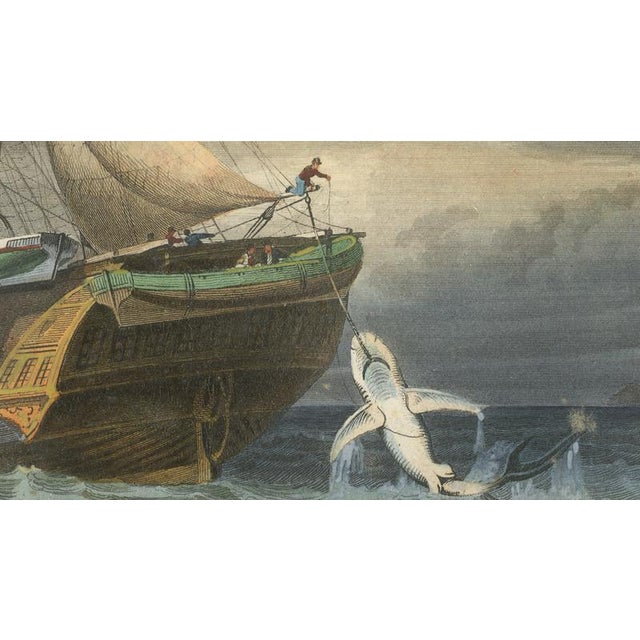 After Édouard Traviès, Shark Fishing, 1840, Hand-Colored Engraving For Sale - Image 9 of 10