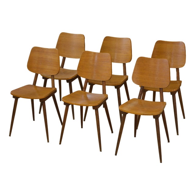 Vintage Chairs in Oak, 1960s, Set of 6 For Sale