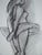 Henri Matisse, Nude, 1981, Lithograph For Sale - Image 10 of 15
