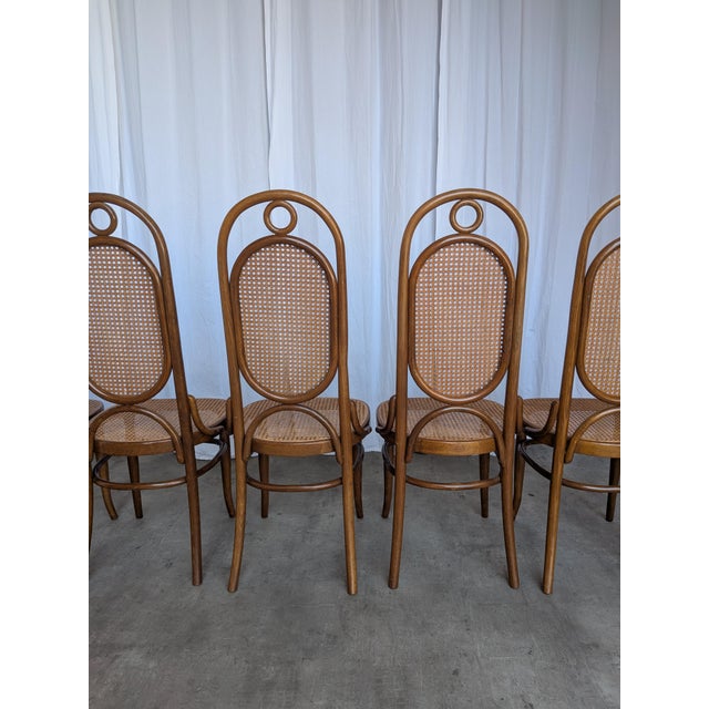 Mid-Century Bentwood Cane Dining Chair, Yugoslavia, 1970s, Set of 6 For Sale - Image 13 of 18