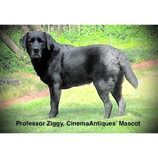 Mid-20th C. Antique Luggage - A Pair For Sale In Dallas - Image 6 of 7