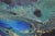 Rita Robertson Abstract Oil Painting c.1961 For Sale - Image 4 of 10
