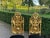 1900 Italian Rococo Gold Beech Black Velvet Dining Chairs - Set of 6 Pc For Sale - Image 10 of 18
