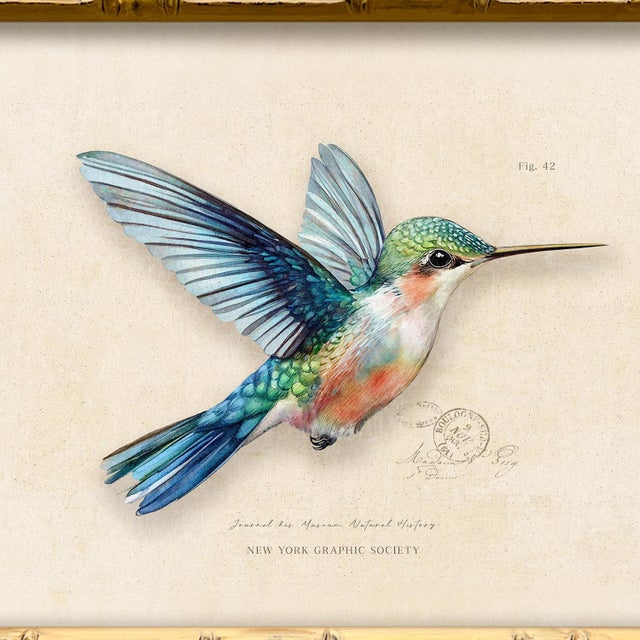 Illustration Reproduction Vintage "Garden Friends" Art Print Framed Blue Hummingbird For Sale - Image 3 of 4