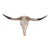 Authentic Texas Longhorn Skull For Sale