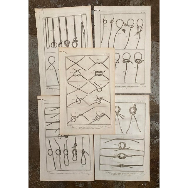 Printmaking Materials Antique 18th Century Knot Engravings - Set of Five For Sale - Image 7 of 7