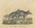 Karl Joseph Brodtmann, Tapir Family with Juvenile in Tropical Wetland, 1816, Lithograph For Sale