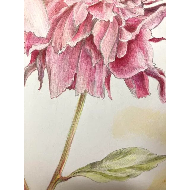 Pink Vintage Style Floral, Peonies Original Mixed Media Drawing by Kathleen Ney For Sale - Image 8 of 9