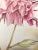 Pink Vintage Style Floral, Peonies Original Mixed Media Drawing by Kathleen Ney For Sale - Image 8 of 9