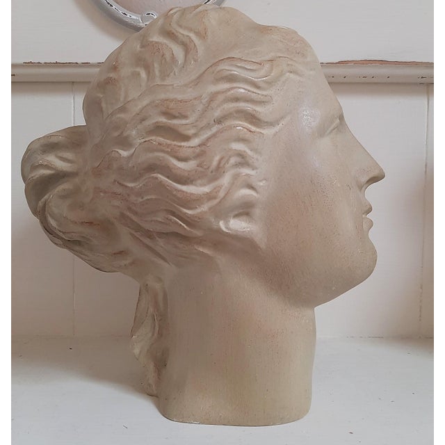 Mediterranean Goddess Bust of Aphrodite Sculpture Venus For Sale - Image 3 of 10