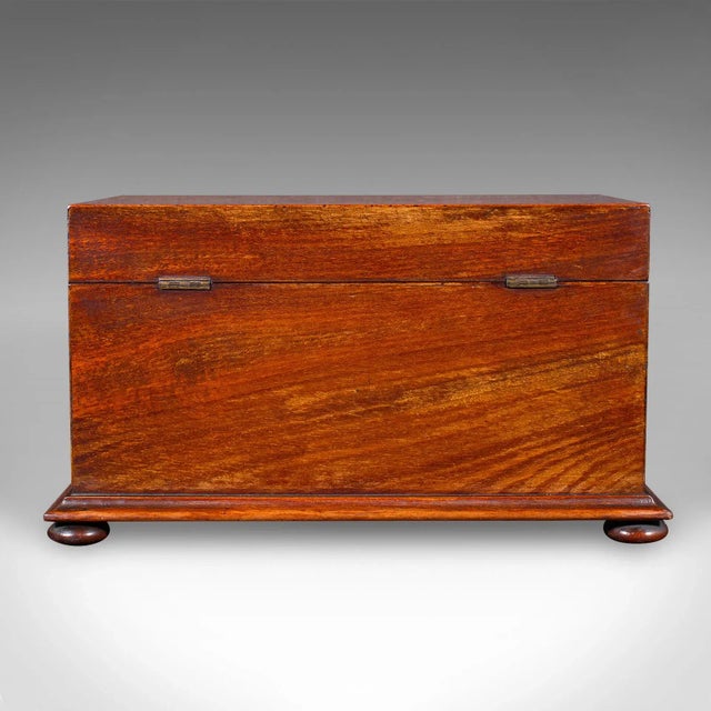 Early 19th Century 1820's Antique Loose Tea Caddy For Sale - Image 5 of 10