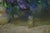 1990s 1990s Oil Painting Still Life Chulko Nikolay Fedorovich For Sale - Image 5 of 7