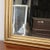 Mid-Century Gilt Wood Mirror For Sale - Image 5 of 9