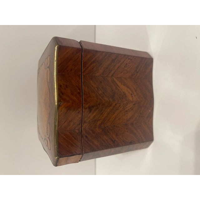 English Square Burl Tea Caddy Brass Stringing and Interior Lid, 19th Century For Sale - Image 4 of 9