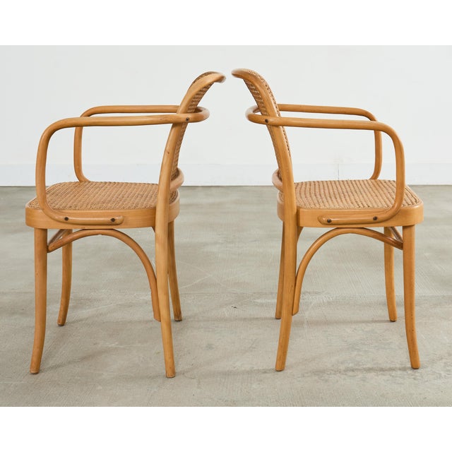 Mid 20th Century Set of Four Thonet Prague Bentwood Armchairs by Josef Hoffman For Sale - Image 5 of 18