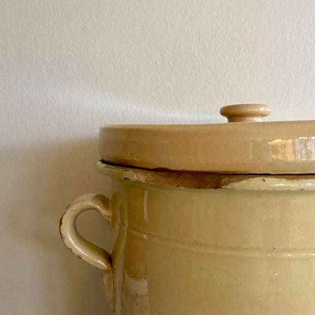 Goldenrod Savoy Pot in Ceramic For Sale - Image 8 of 11