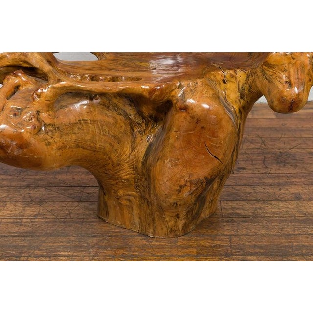 Vintage Rustic Chinese Camphor Wood Tree Root Armchair with Light Varnish For Sale - Image 12 of 12