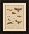 Death's-Head Hawkmoth, Eyed Hawkmoth & Oleander Hawkmoth, 1816 This attractive original hand-colored lithograph...